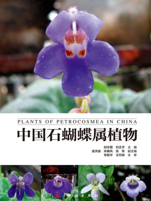 中國石蝴蝶屬植物