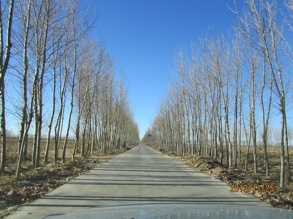 何家窩鋪村(遼寧省二十家子鎮何家窩鋪村)