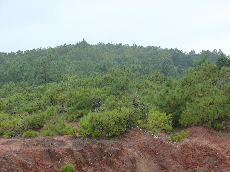 石門下村