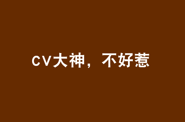 CV大神，不好惹