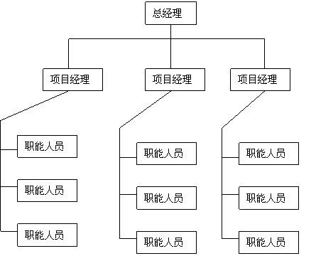 線性組織結構