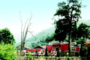 雁鳴湖國家森林公園