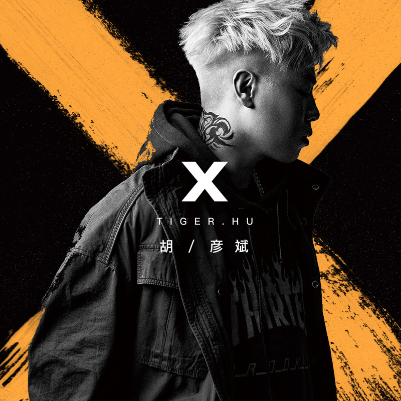 x(胡彥斌音樂專輯)