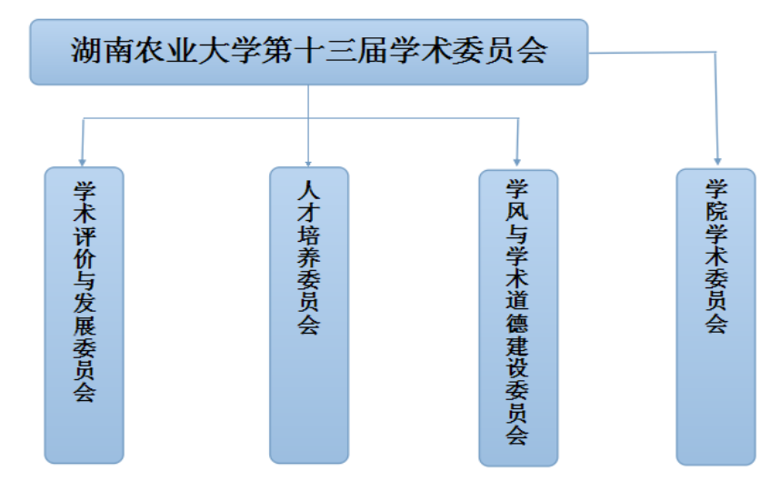 組織框架