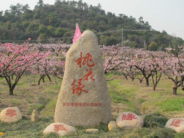 連平縣桃花緣生態農業有限公司