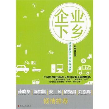 撬動鄉鎮市場實戰攻略：企業下鄉(企業下鄉：撬動鄉鎮市場實戰攻略)