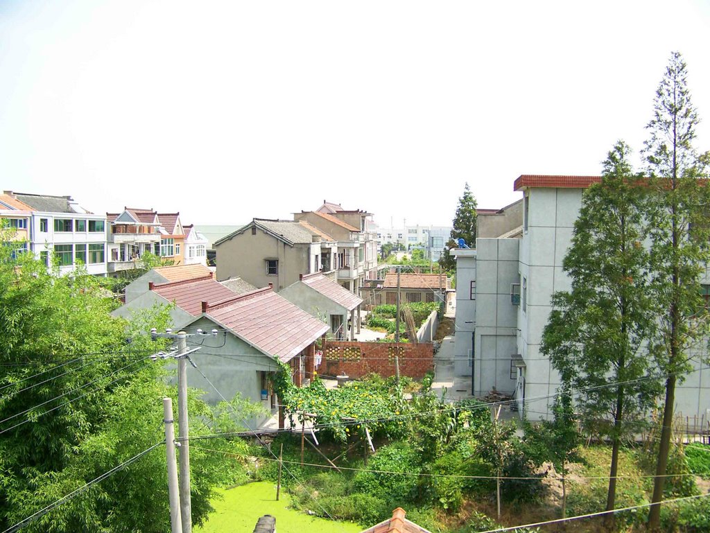 明星村(湖南省鳳凰縣林峰鄉明星村)