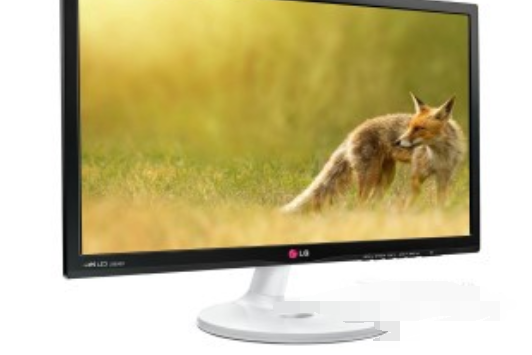 LG 22EA53R