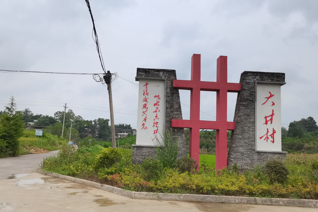 大井村(重慶市墊江縣高峰鎮大井村)