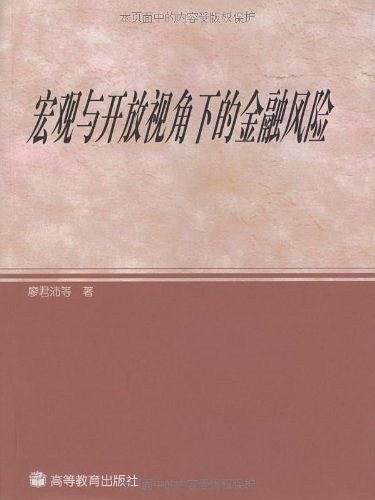 巨觀與開放視角下的金融風險