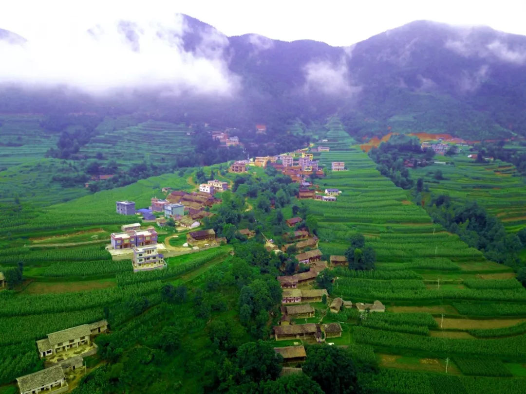 小白坡村(雲南富民縣款莊鄉下轄村)