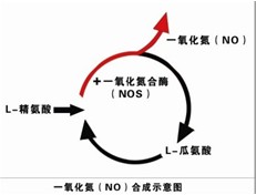 華以NO