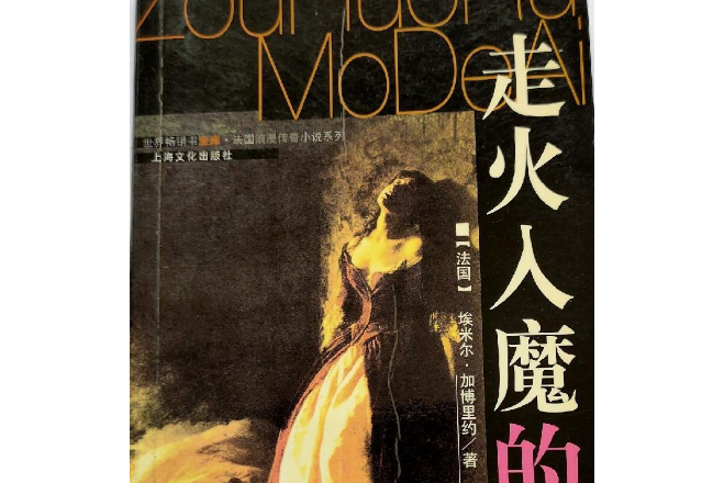 走火入魔的愛(1999年上海文化出版社出版的圖書)