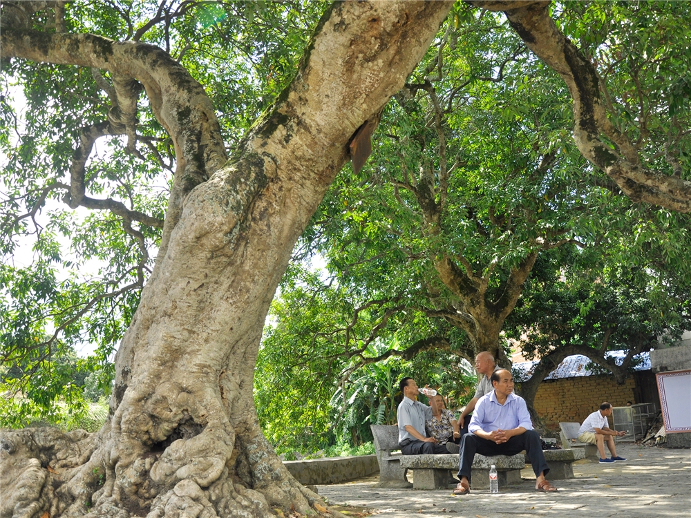 大蘆村(大蘆村民俗風情旅遊區)