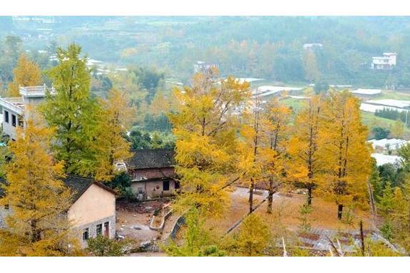 保合村(廣西壯族自治區桂林市興安縣漠川鄉下轄村)