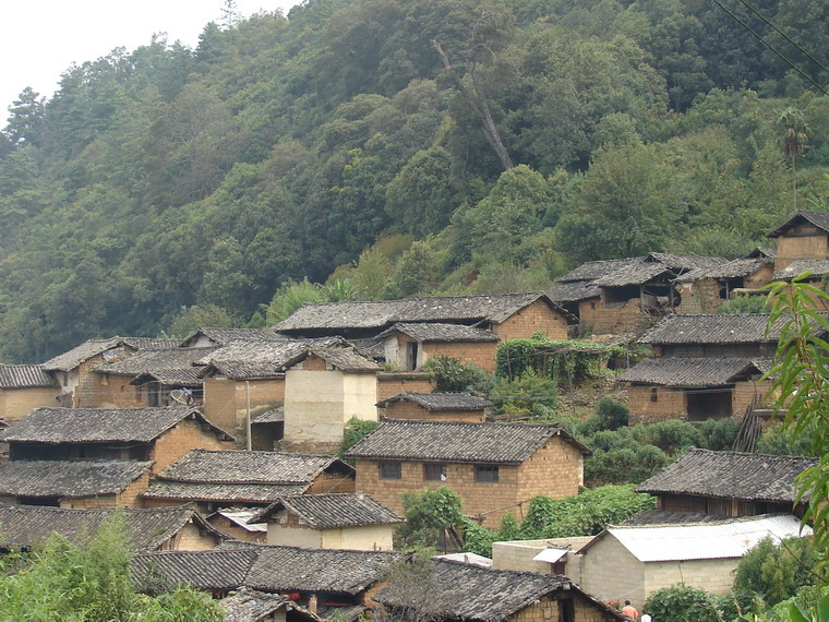 椎栗林村(新平縣建興鄉中寨村民委員會下轄村)