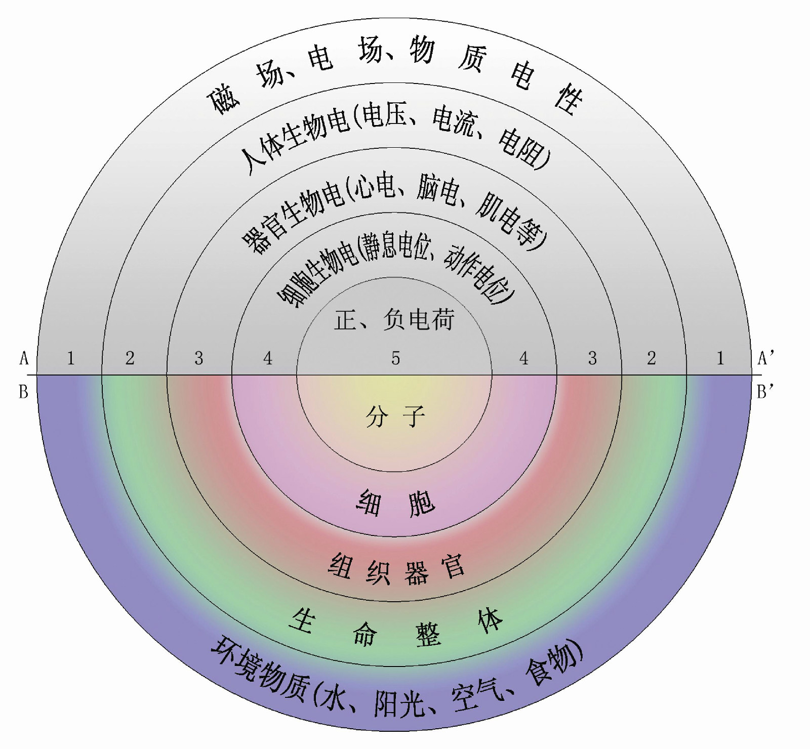 單學智