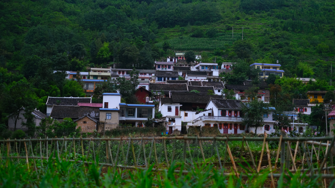 坪川村