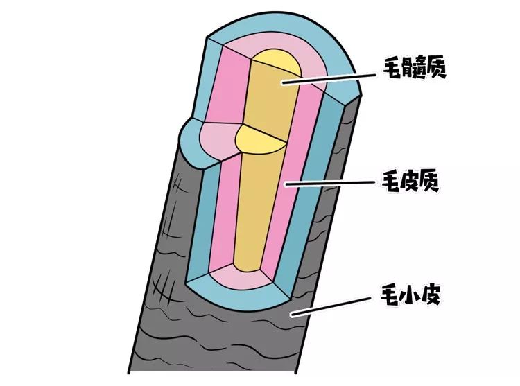 自己嚇自己？為什麼年輕人越來越在意這個身體構造？