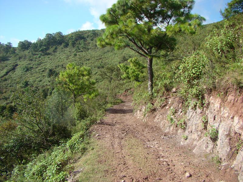 祭龍箐村