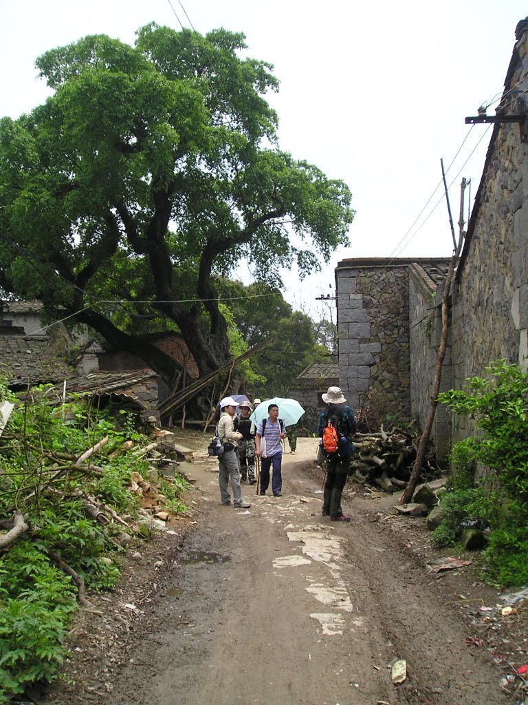 青圃村