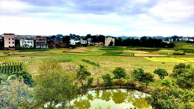 水石村(廣東省茂名市電白區那霍鎮下轄村)