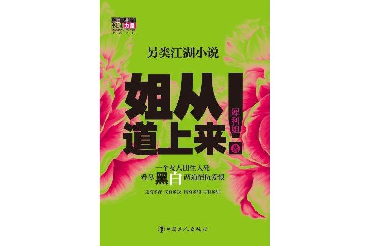 姐從道上來(另類江湖小說：姐從道上來)