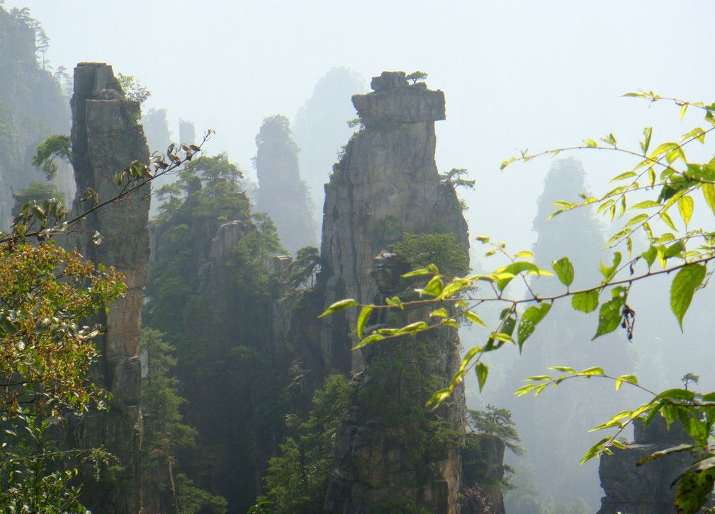 張家界學生旅遊攻略網