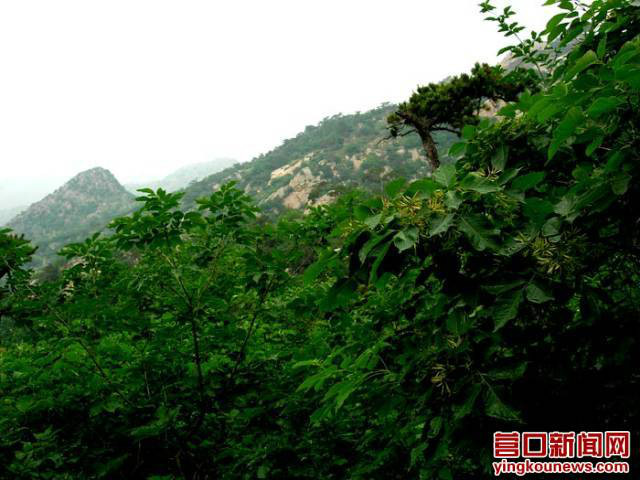 青龍山風景區(湖北黃石青龍山風景區)