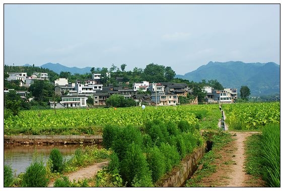 豐登村