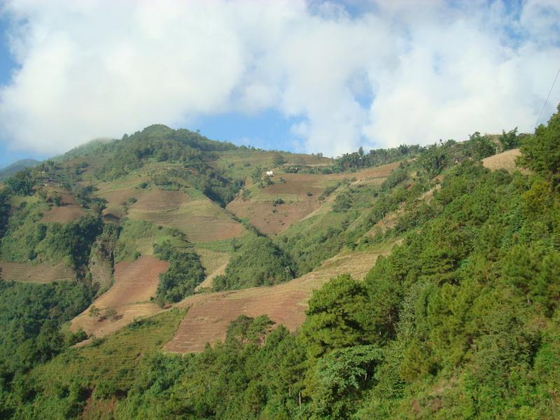 岩子頭村(雲南祿豐縣恐龍山鎮下轄村)