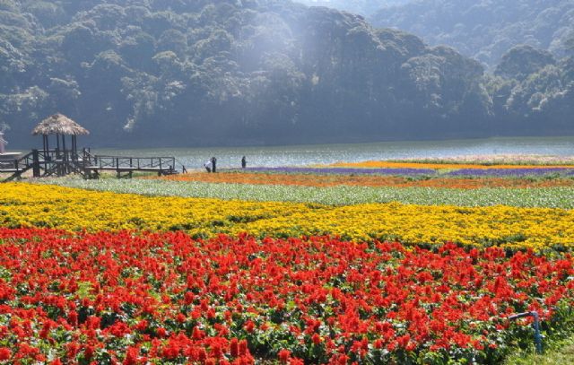 福建三元國家森林公園(三元國家森林公園)