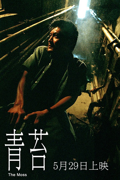 青苔(中國香港2008年郭子健執導電影)