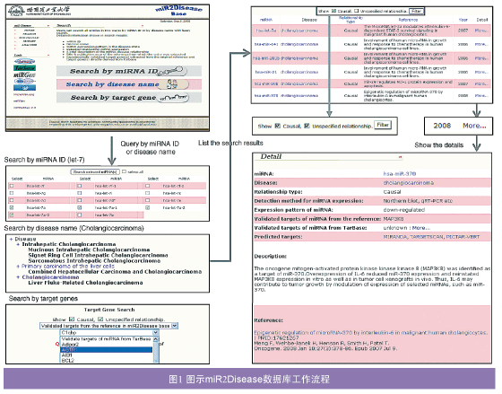 RNA序列資料庫