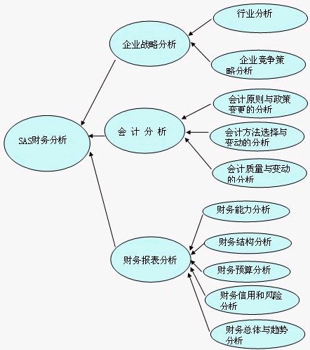 SAS財務分析模型