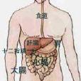 腸道桿菌感染