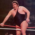 Andre the Giant