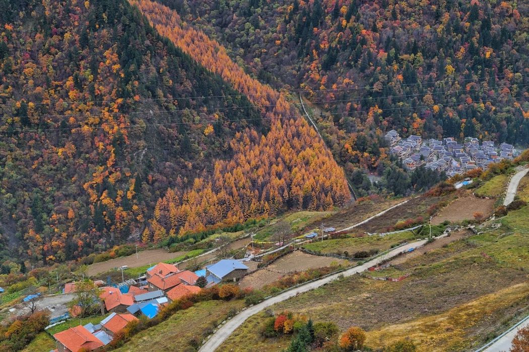 奶子溝北山