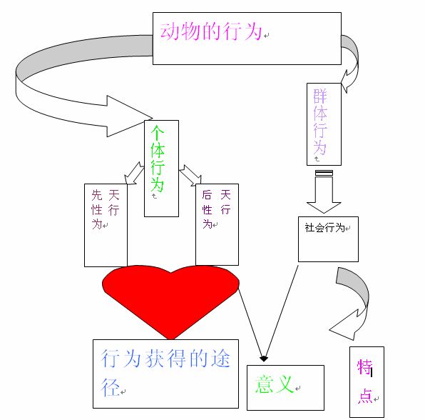 印隨行為