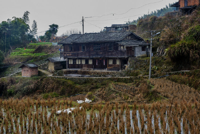 張荊村