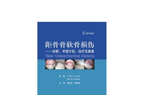 距骨骨軟骨損傷(2020年北京大學醫學出版社出版的圖書)