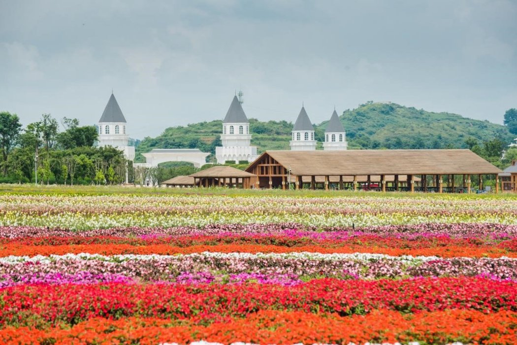 花田文化園