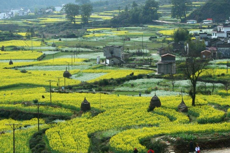 山水田園