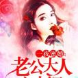 一夜蜜婚：老公大人寵太深