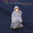 What to Knit When You\x27re Expecting(Van De Car, Nikki; Richardson, Claire;著圖書)