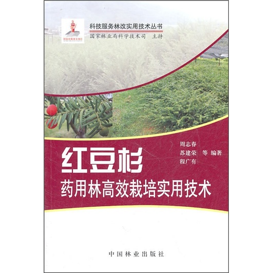 紅豆杉藥用林高效栽培實用技術