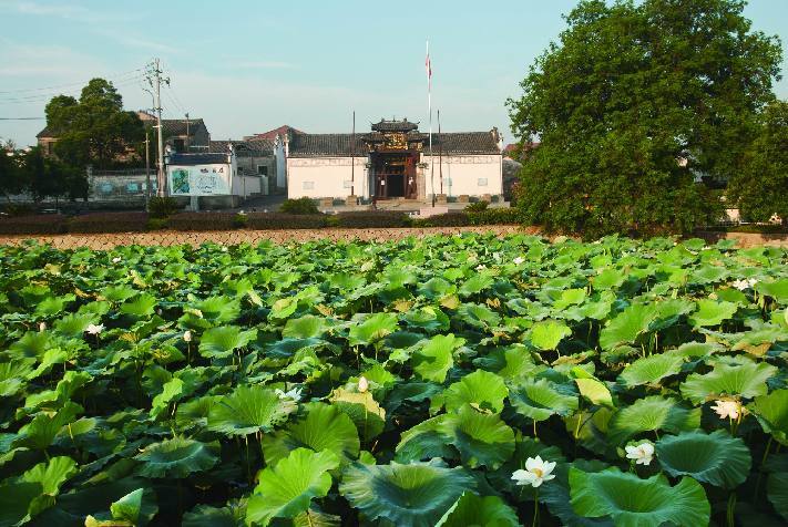 蒲塘村(江蘇省南京市溧水區洪藍鎮下轄村)