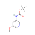 3-BOC-氨基-5-甲氧基吡啶