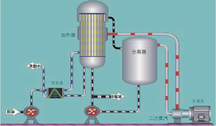 生物濃縮係數