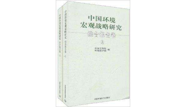 中國環境巨觀戰略研究：綜合報告卷(中國環境巨觀戰略研究)